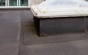 disadvantages of Easter Housebyres flat roofs